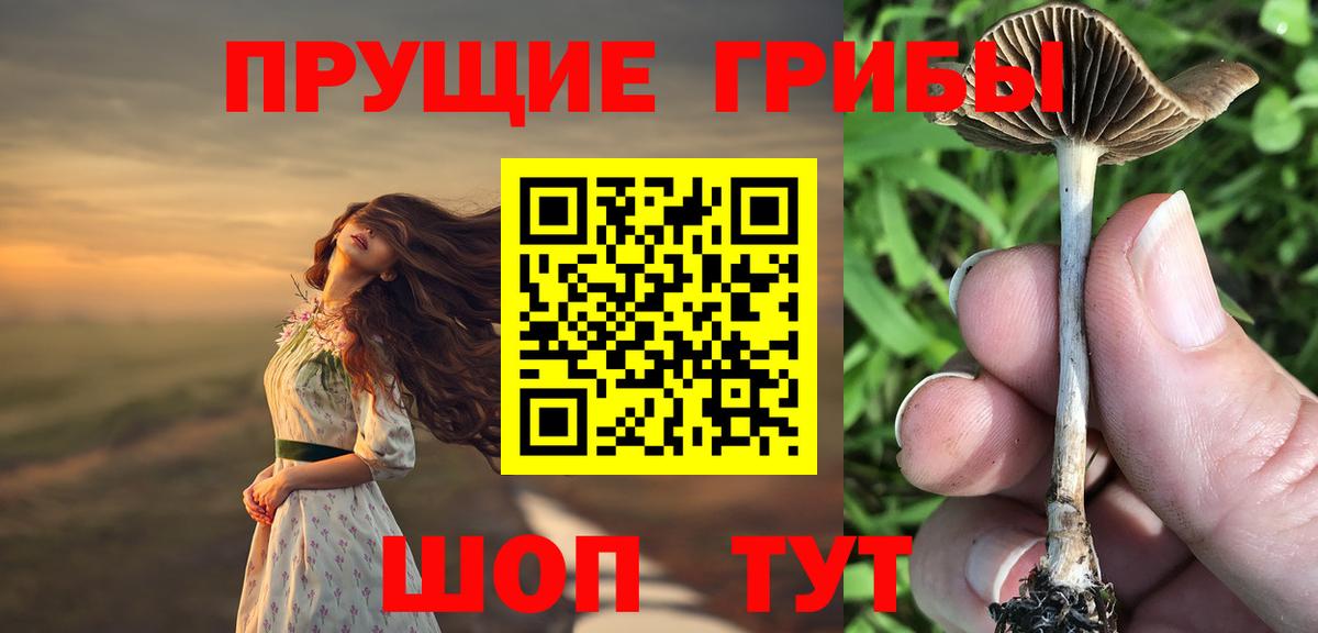 Псилоцибиновые грибы Cubensis Боровичи