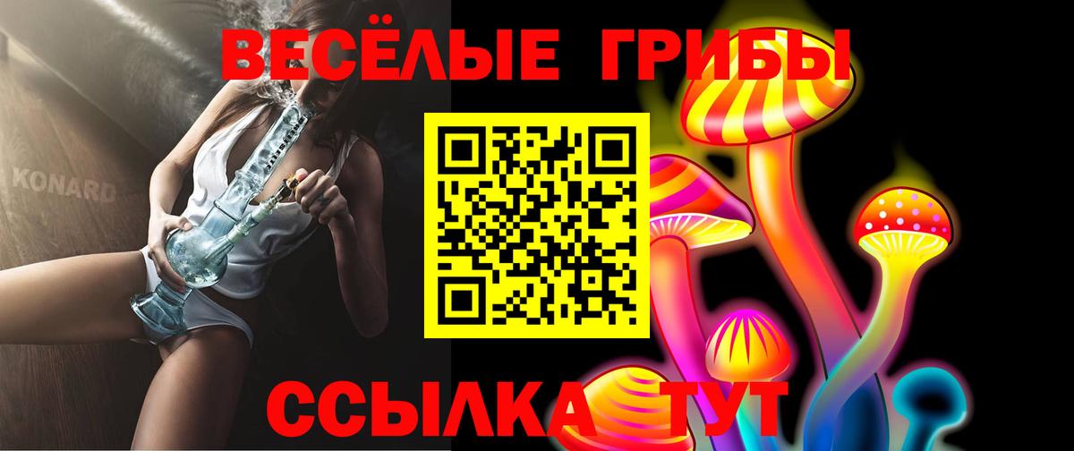 Псилоцибиновые грибы прущие грибы  Вход с VPN  Боровичи 