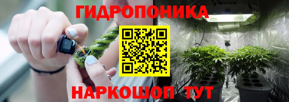 Канабис планчик Боровичи